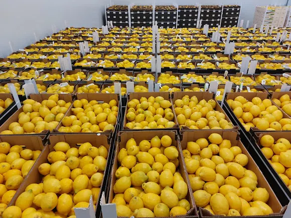 LAS MORERAS FRUIT & VEGGIES
