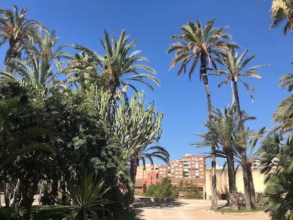 Parque Infantil