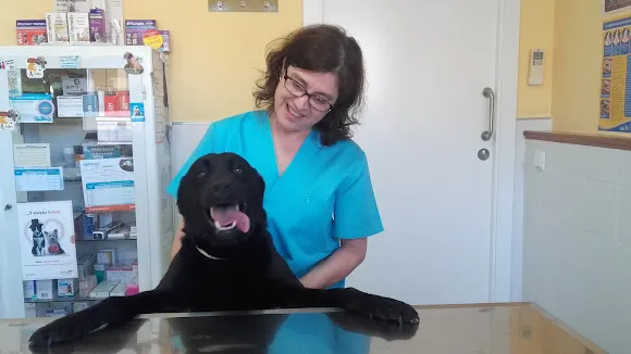 Clinica Veterinaria La Muralla - Denia