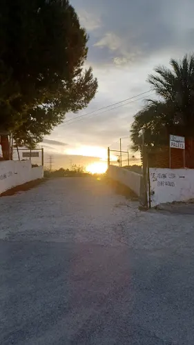 Leña Paula.