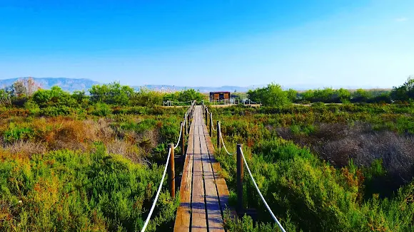 Parque Natural El Hondo - Elche