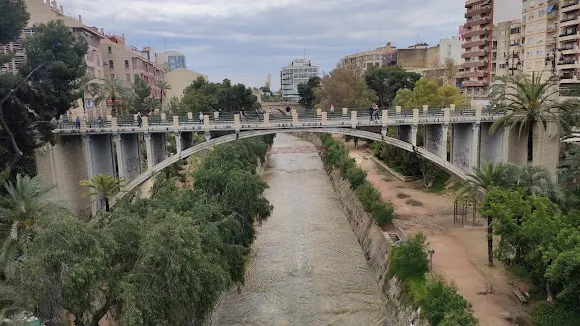 Pont d'Altamira - Elche