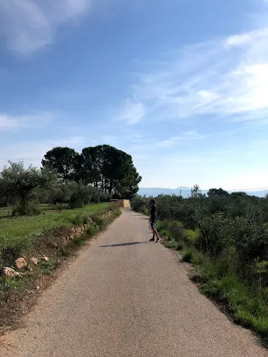 Camino Natural Vía Verde del Maigmó (Inicio) - Agost