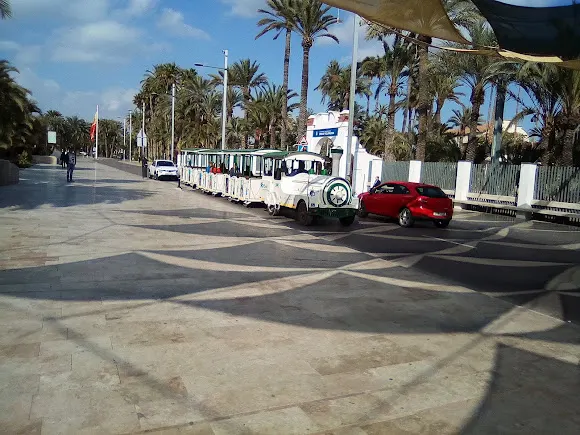 El Palmeral de Elche