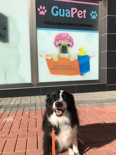 GuaPet Peluquería Canina - Alicante