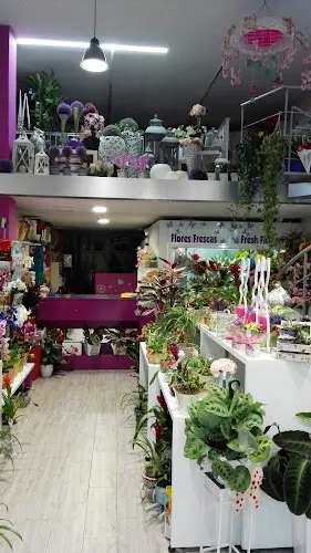 El Racó de les Flors - Calpe