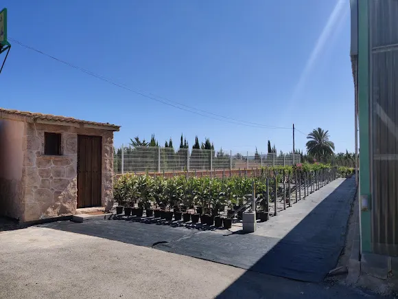 Viveros Coral S.L. - Orihuela