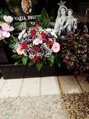 Cementerio Nuevo - Elche