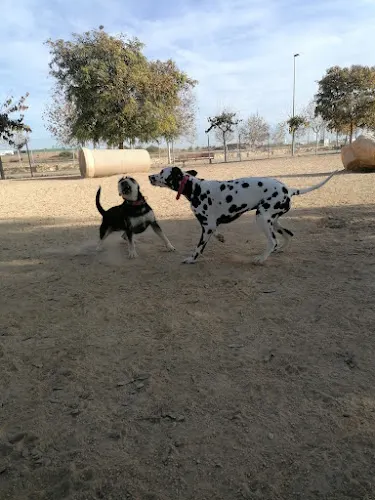 ZONA DE ESPARCIMIENTO CANINO
