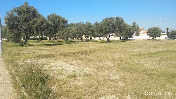 zona verda ferreret