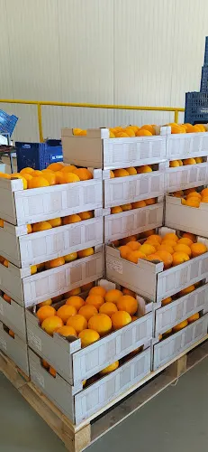 Agrícola El Tossal S.L. - la Nucia