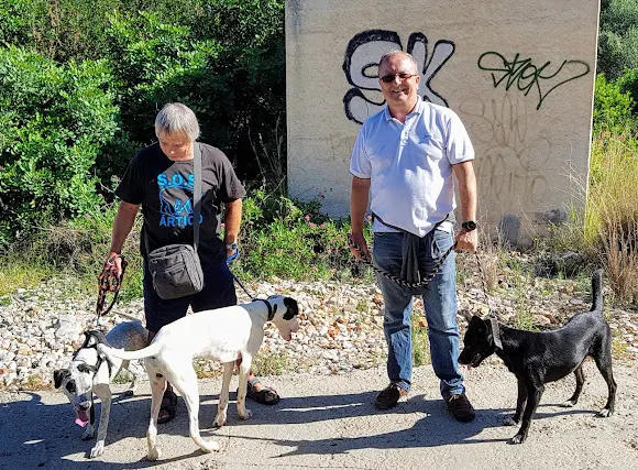 A. P. A. D. - Asociación Protectora de Animales Dénia - Denia
