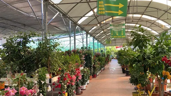 Viveros Villamartín - Vivero en Orihuela