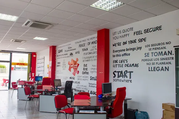 EasyCover Insurance - Torrevieja