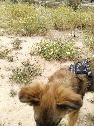 Animales Felizes Happy Animales - San Miguel de Salinas