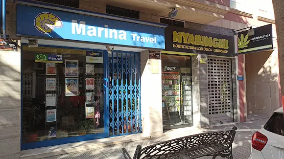 Nyabinghi Growshop - Sant Joan dAlacant