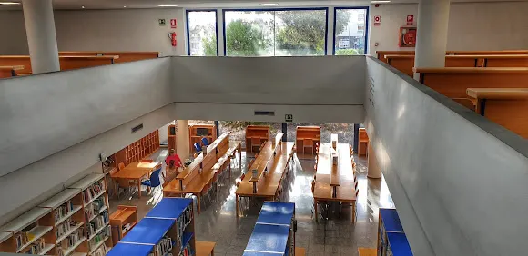 Biblioteca Bellas Artes - Altea