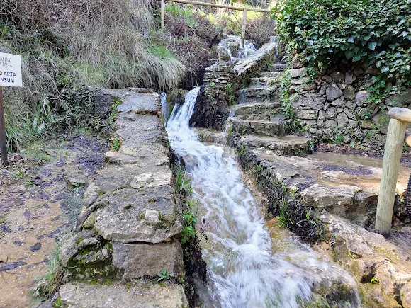 Fuente del Molí Mato - Alfafara