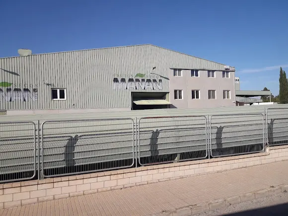 AGRO MAÑAN - Pinos (el)/Pinoso