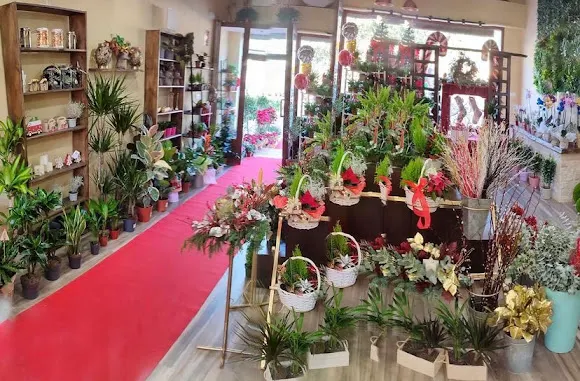BellaFlor Floristería