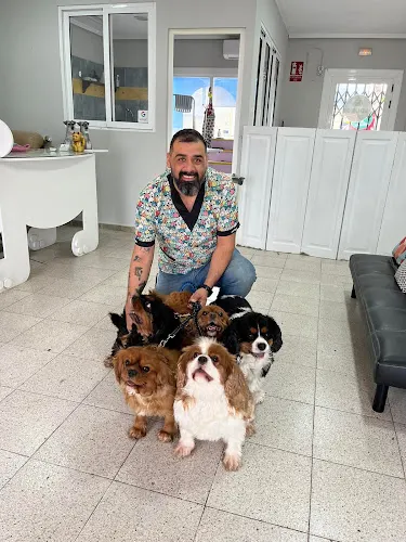 Pelu-Dogs Grooming Lola’s Peluquería Canina by Javier Castro