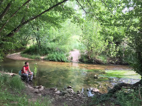 Sea Wolves