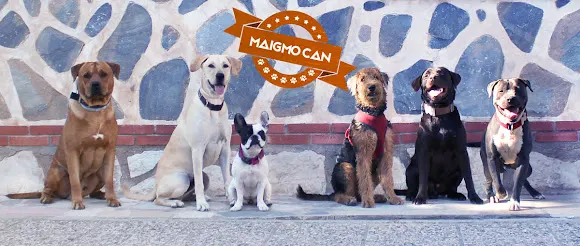 MaigmoCan