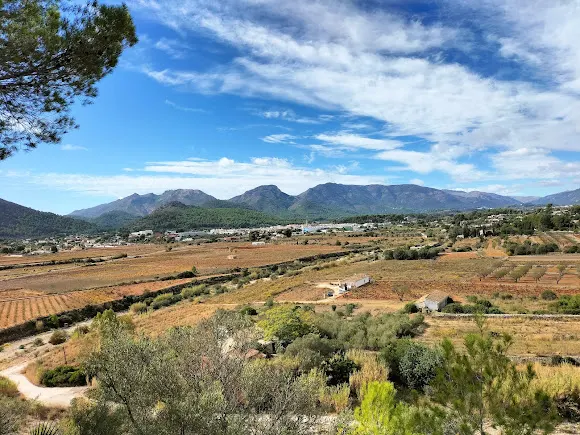 Endèmica Natura - Pedreguer