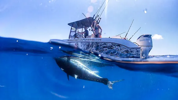 Emotional Fishing Charters & Shop - Denia