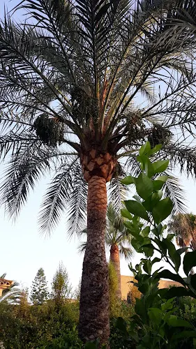Urbanización La Almajada Verde - Mutxamel