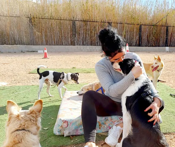 Merci my Dog - Educación Canina - Elche