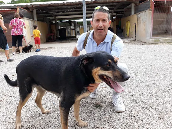Sociedad Protectora de Animales y Plantas de Alcoy - Alcoy