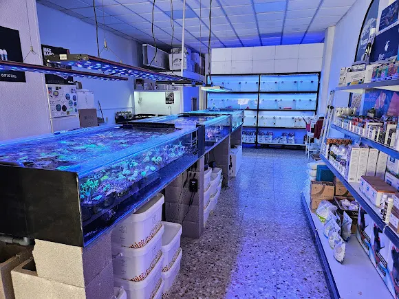 Coral Center - Alicante