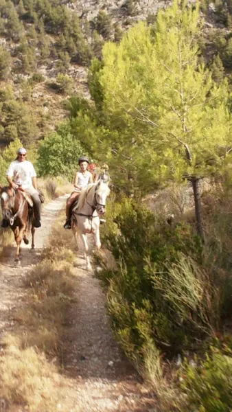 Alquiler Caballos para Rutas