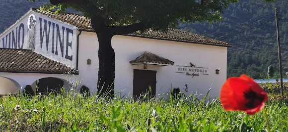 Pepe Mendoza Casa Agrícola - Lliber