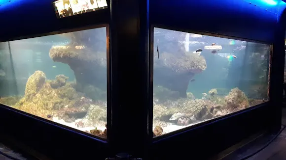 Aquarium - Museo del Mar Santa Pola - Santa Pola