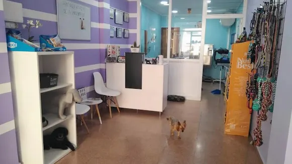 Sara Albero Peluquería & Boutique Canina - Banyeres de Mariola