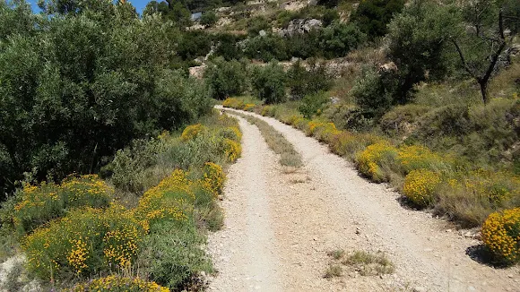 Cauce del Río Coscó - Jijona/Xixona