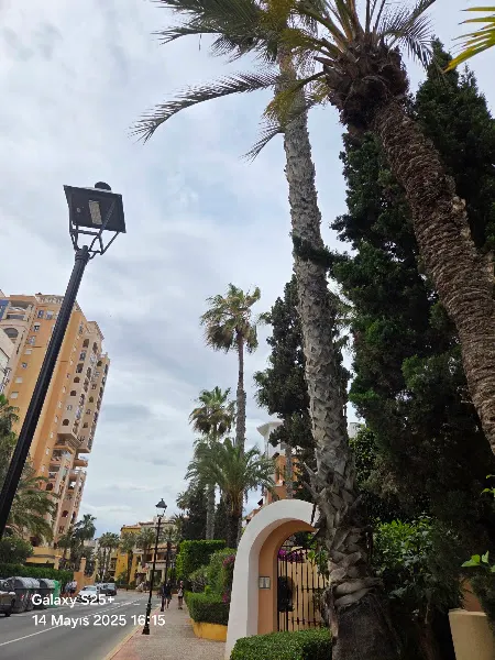 Top Spain Rent - Torrevieja
