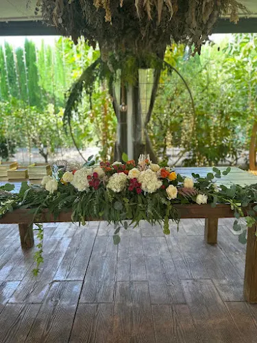 La Roseta flores y plantas - Mutxamel