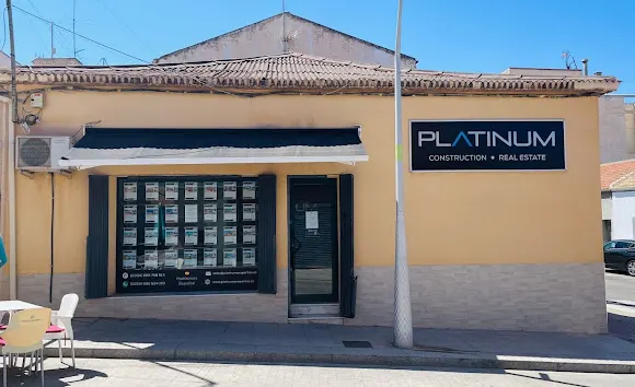 Platinum Properties