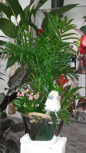 Floristería Tere