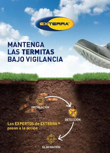Ecomol Salud Ambiental y Control de Plagas y Termitas - Empresa de fumigación y control de plagas en Alicante