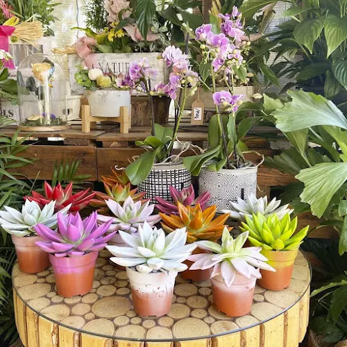 TOMAJARDIN FLORISTAS - Alicante