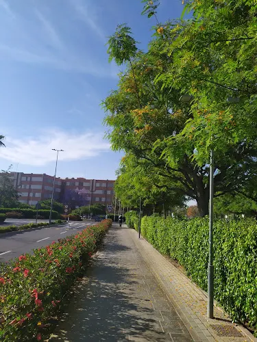 Parking Público - San Vicente del Raspeig/Sant Vicent del Raspeig