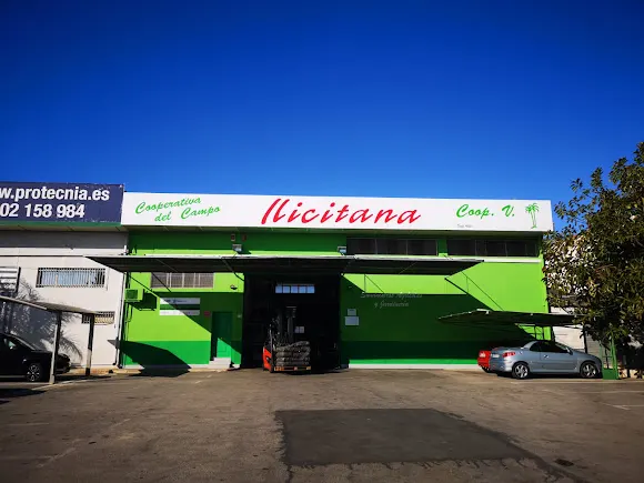 Cooperativa Del Campo Ilicitana S Cv