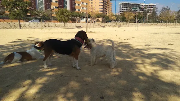 Parque para perros - Alicante