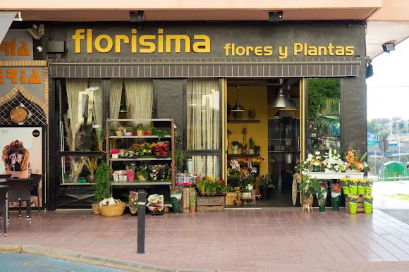 Florisima Flores Y Plantas