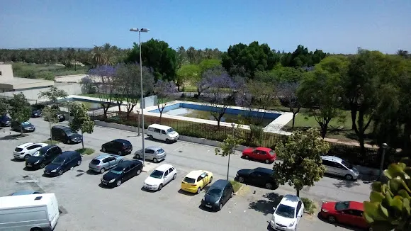 Piscinas de los palmerales - Elche