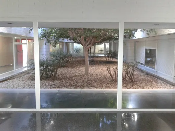 UNIVERSIDAD UMH - Alicante